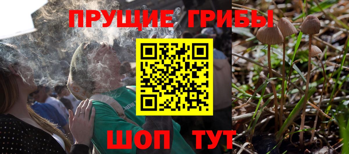 Галлюциногенные грибы Cubensis  Псилоцибиновые грибы ЛСД  Вход с VPN  Ханты-Мансийск 
